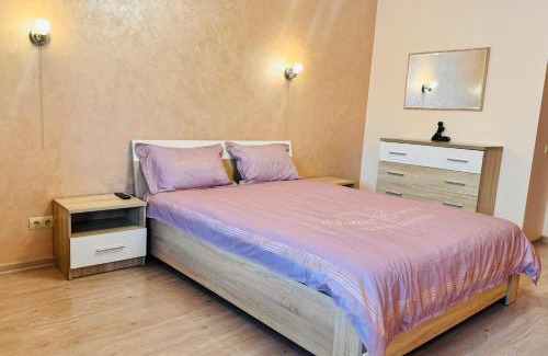 Kosuv Stary Apartment | Apartaments Sichovyh Strilciv 68a