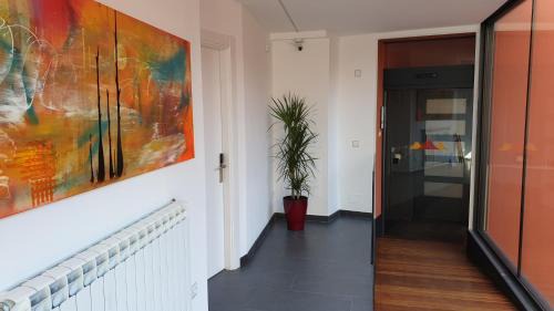 Olot Apartment | Apartaments y Habitacions Entre Volcans