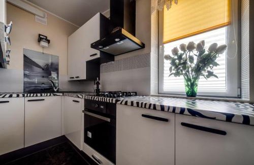 Lviv City Center Apartment | Apartamenty on Kryvonosa