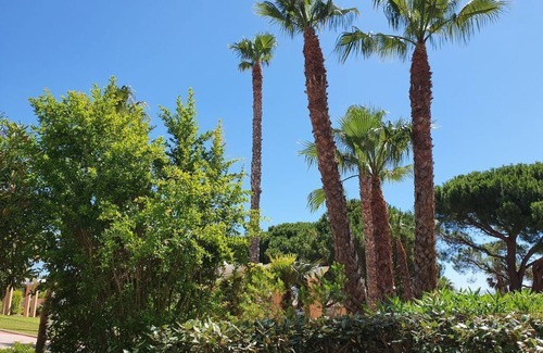 Giens Apartment | Apartement * 4 people , Residence's swimming pool -Presqu ile de Giens HYERES