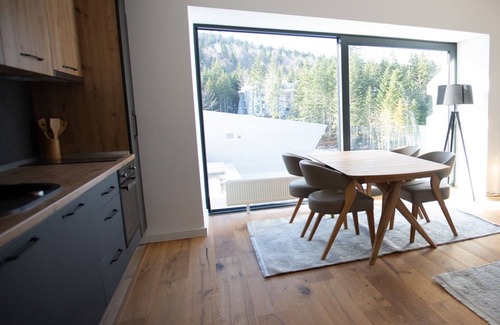 Bjelasnica Apartment | Aparthotel Phoenix - One Bedroom Apartment with Terrace XL 302