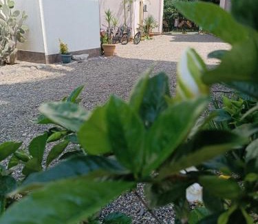 Gonio Apartment | Aparthotel Sofia in Gonio
