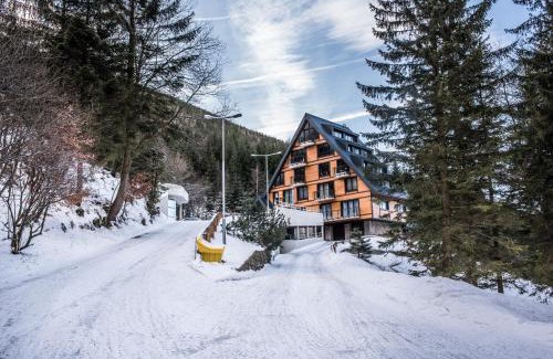 Spindleruv Mlyn Apartment | Apartmán Adélka 403
