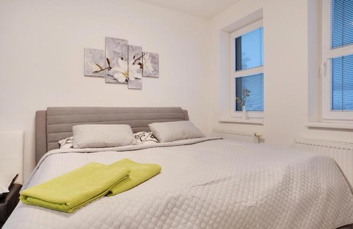 Loucna Pod Klinovcem Apartment | Apartmán Alfa Klínovec