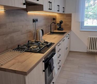 Pardubice Apartment | Apartmán Dukla