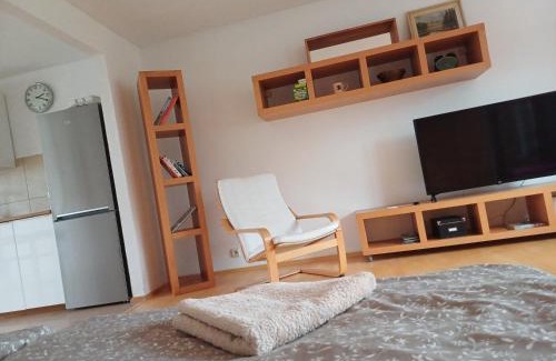 Pribram House | Apartmán Dvořák 194 pod Svatou horou