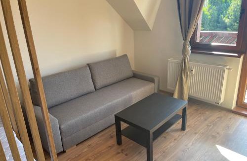 Pavcina Lehota Apartment | Apartmán EMA Demänovská Dolina -Pavčiná Lehota