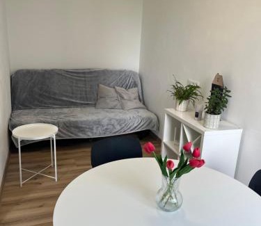 Jihlava Apartment | Apartmán ERUDITO Královský vršek Jihlava