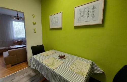 Tyn nad Vltavou Apartment | Apartmán Eva - plně vybavený byt - Týn nad Vltavou