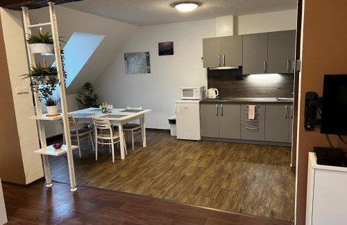 Ceska Kamenice Apartment | Apartmán Frank