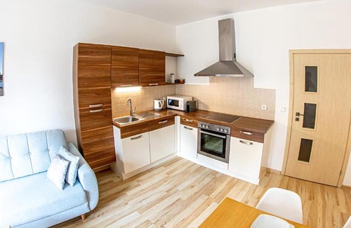Lipno nad Vltavou Apartment | Apartmán Lipno 50/18