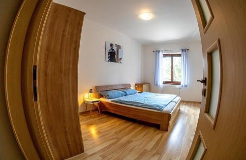 Lipno nad Vltavou Apartment | Apartmán Lipno 50/18