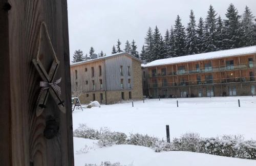 Spindleruv Mlyn Apartment | Apartmán Medvědín 109