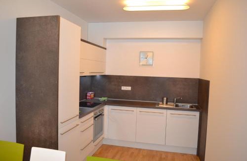 Spindleruv Mlyn Apartment | Apartmán Medvědín 109
