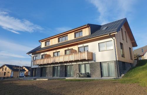 Cerna V Posumavi Apartment | Apartmán Moje Malé Lipno