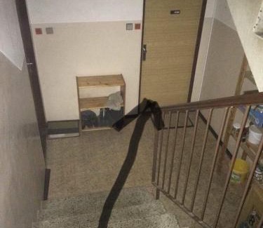 Zlata Olesnice Apartment | Apartmán Na Horách