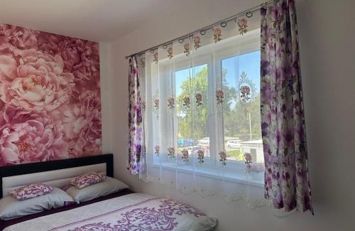 Trebon Apartment | Apartmán na Lukách - Kopretina