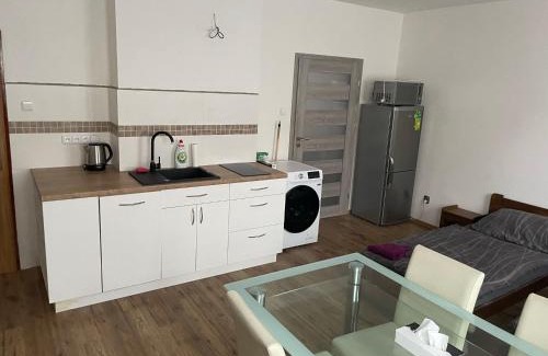 Trebic Apartment | Apartmán nad Bazilikou 1