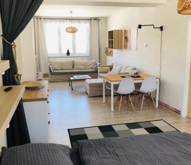 Orlicke Zahori Apartment | Apartmán Orlické Záhoří