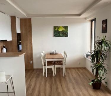Abertamy Apartment | Apartmán Plešivec ALL4FUN u sjezdovky