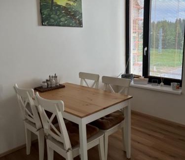 Abertamy Apartment | Apartmán Plešivec ALL4FUN u sjezdovky