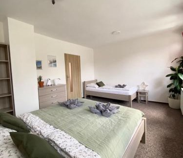 Horni Mala Upa Apartment | Apartmán pod vlekem