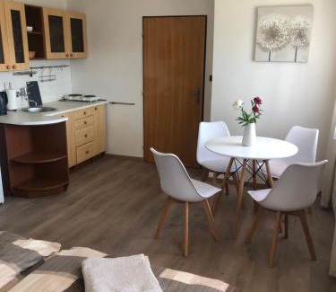 Susice Apartment | Apartmán PodFaustinkou