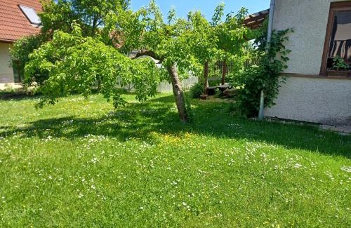 Radenice Apartment | Apartmán Radenice