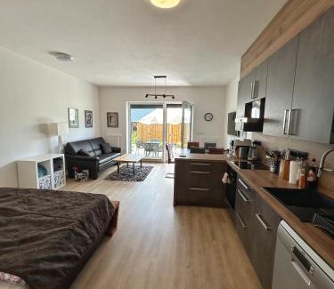Kasperske Hory Apartment | Apartmán se slunnou teráskou v Kašperkách