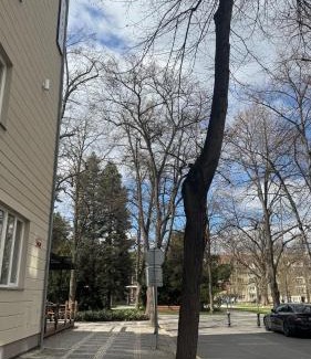 Podebrady Apartment | Apartmán Slunce