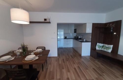 Nove Mesto na Morave Apartment | Apartmán Studnice