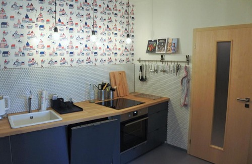 Ricky v Orlickych horach Apartment | Apartmán SVAN B2