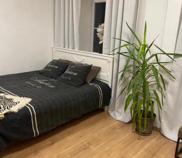 Olomouc Apartment | Apartmán Tržnice