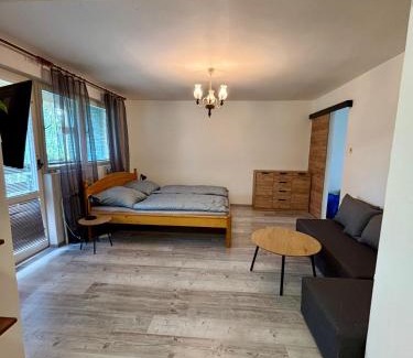 Sedlec Apartment | Apartmán u Šohaja