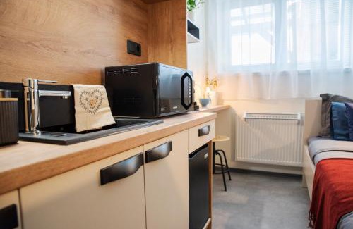 Ceska Trebova Apartment | Apartmán u Horynů - Hýblova
