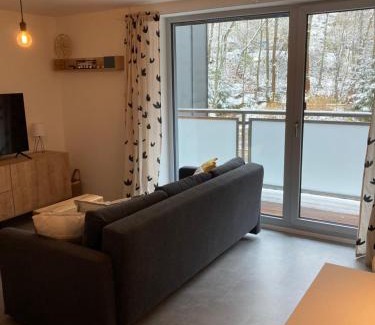 Janov nad Nisou Apartment | Apartmán U Jelena