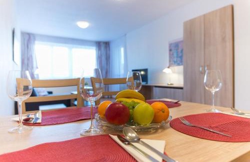 Trebon Apartment | Apartmán U Lázní D22