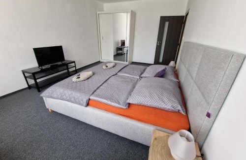 Karlovy Vary Apartment | Apartmán U Petra