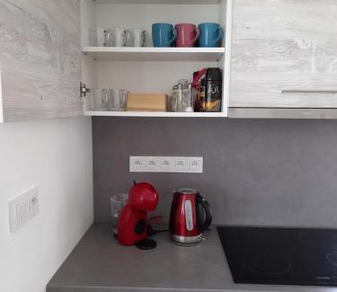 Novy Saldorf-Sedlesovice Apartment | apartmán U Rané BOBULE