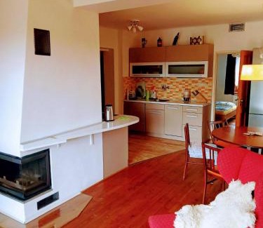 Bila Tremesna Apartment | Apartmán U Zebry