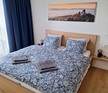 Svinna Apartment | Apartmán v Javorné na Šumavě