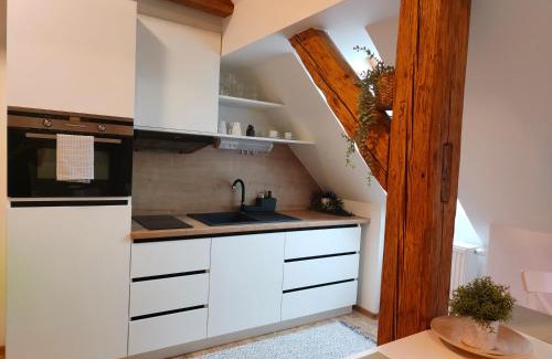 Stare Buky Apartment | Apartmán v podhůří Krkonoš