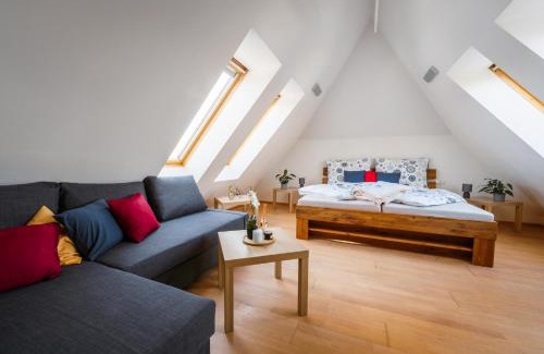 Ostrava Apartment | Apartmán ve vile