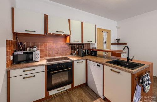 Ricky v Orlickych horach Apartment | Apartmán VerZuz - Říčky v Orlických Horách