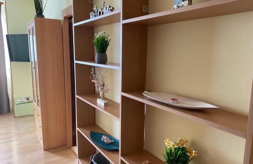 Hradec Kralove Apartment | Apartmány 2kk u Fakultní nemocnice Volné parkovaní
