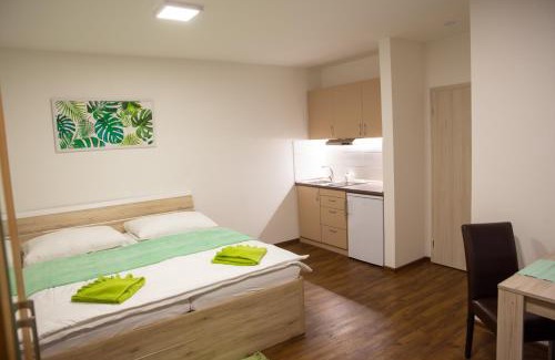Lipno nad Vltavou Apartment | Apartmány AAALIPNO