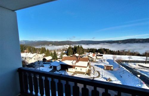 Mitterfirmiansreut Apartment | Apartmány Almberg Mitterdorf