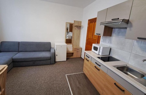 Rokytnice nad Jizerou Apartment | Apartmány Centrum with Garage