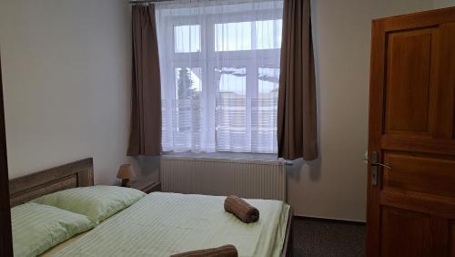 Rokytnice nad Jizerou Apartment | Apartmány Centrum with Garage
