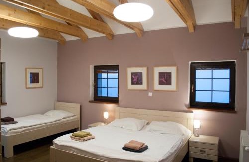 Bozi Dar Apartment | Apartmány Cestář Boží Dar